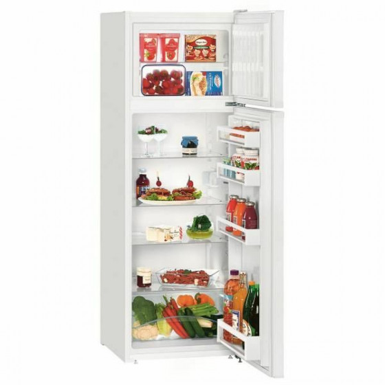 Réfrigérateur 2 portes LIEBHERR CTP251-21